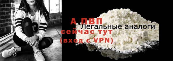 стафф Волоколамск