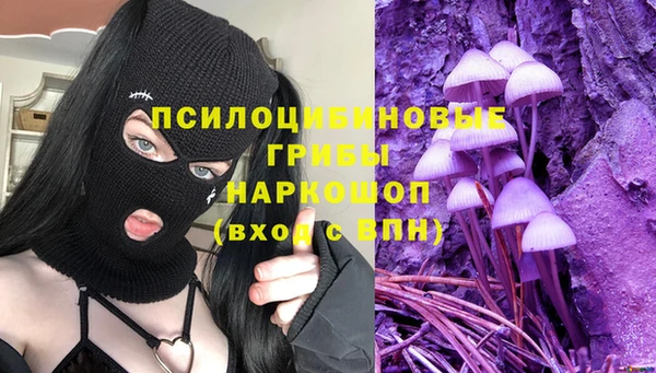 apvp Володарск
