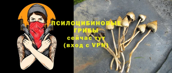 стафф Волоколамск