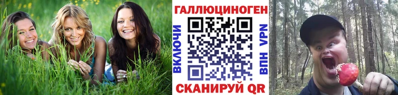 Псилоцибиновые грибы прущие грибы  Купить закладки  Буйнакск 